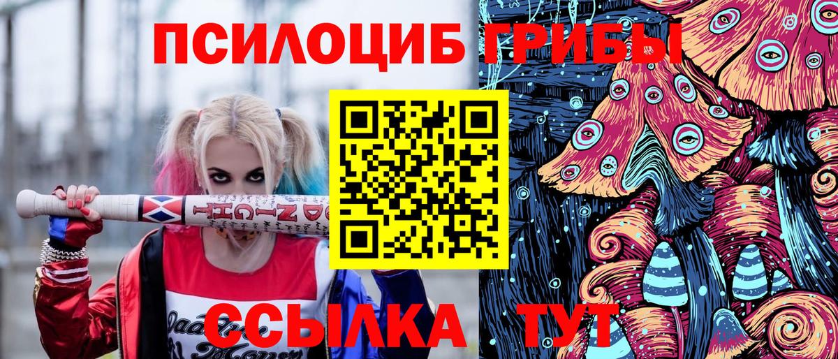 Кизляр  Псилоцибиновые грибы прущие грибы  Вход с VPN  Галлюциногенные грибы мицелий 