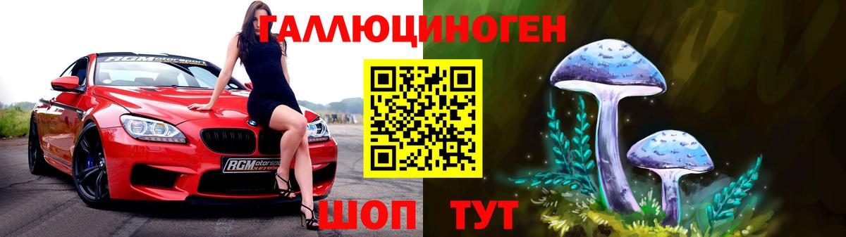 Псилоцибиновые грибы Psilocybine cubensis Кизляр